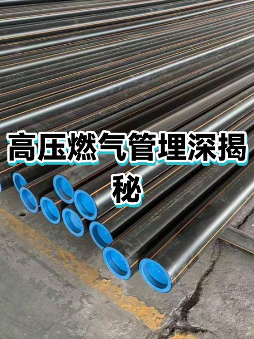 高壓燃?xì)夤苈裆罱颐? />
</a>
<span><a href=